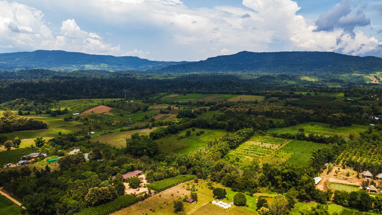 Campesinos y comunidades rurales del Valle permanecen a la espera de soluciones frente a la adjudicación de tierras.