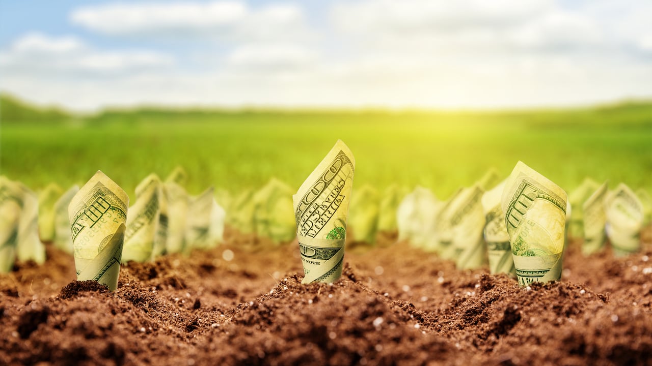 Descubra cómo cultivar una mentalidad de abundancia puede ser el primer paso hacia el éxito financiero y personal.