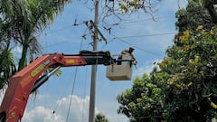 La empresa explicó que estas labores permitirán mejorar la confiabilidad del servicio eléctrico.