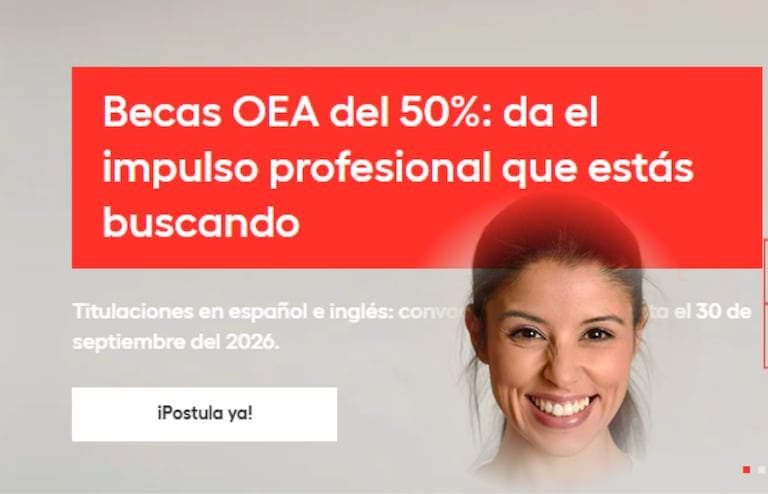 La Universidad Europea y la Organización de los Estados Americanos (OEA). Este programa, bajo el marco de Alianzas para la Educación y la Capacitación (PAEC), ofrece becas del 50 % para diversos posgrados virtuales.