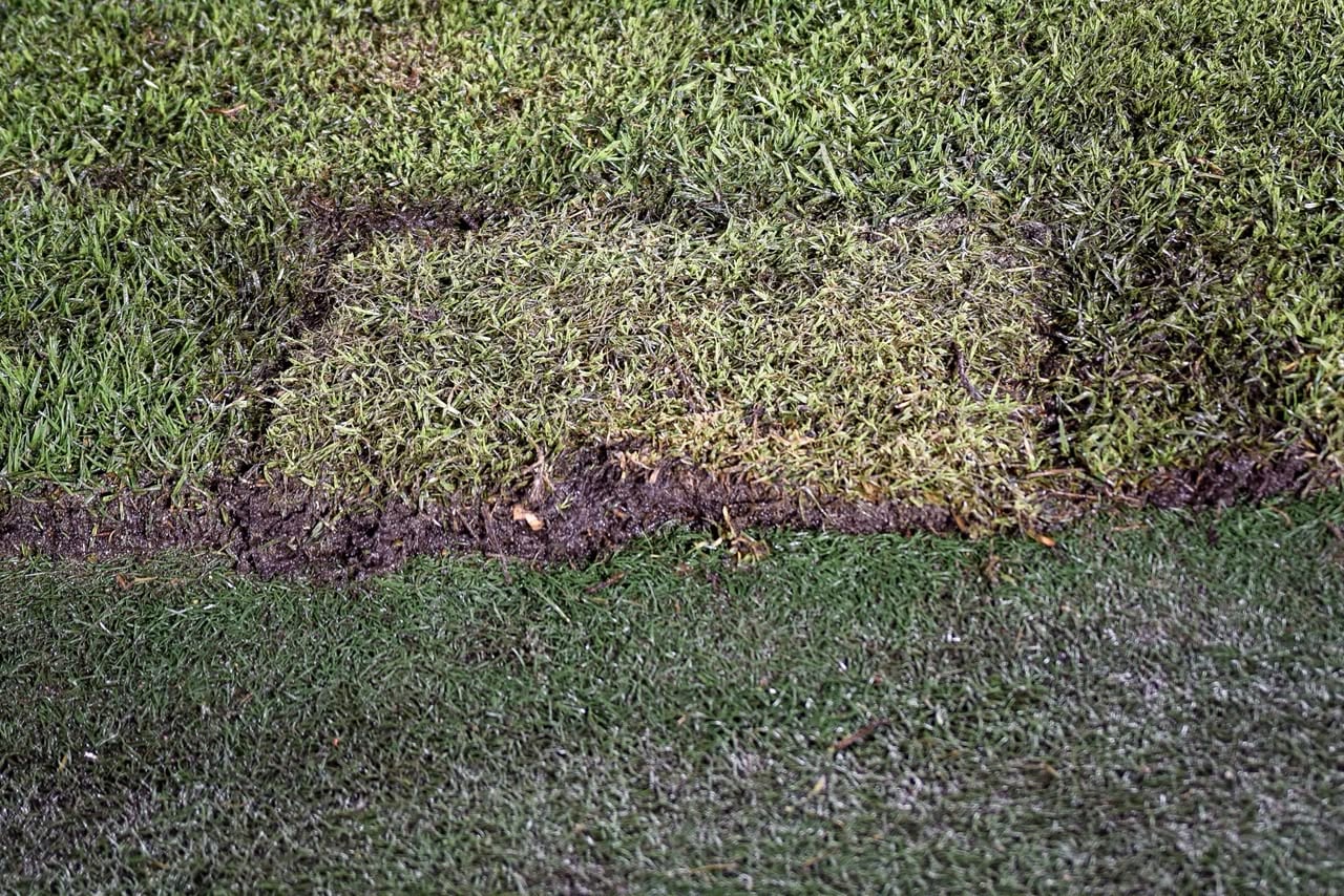 Estado de la cancha de El Campín