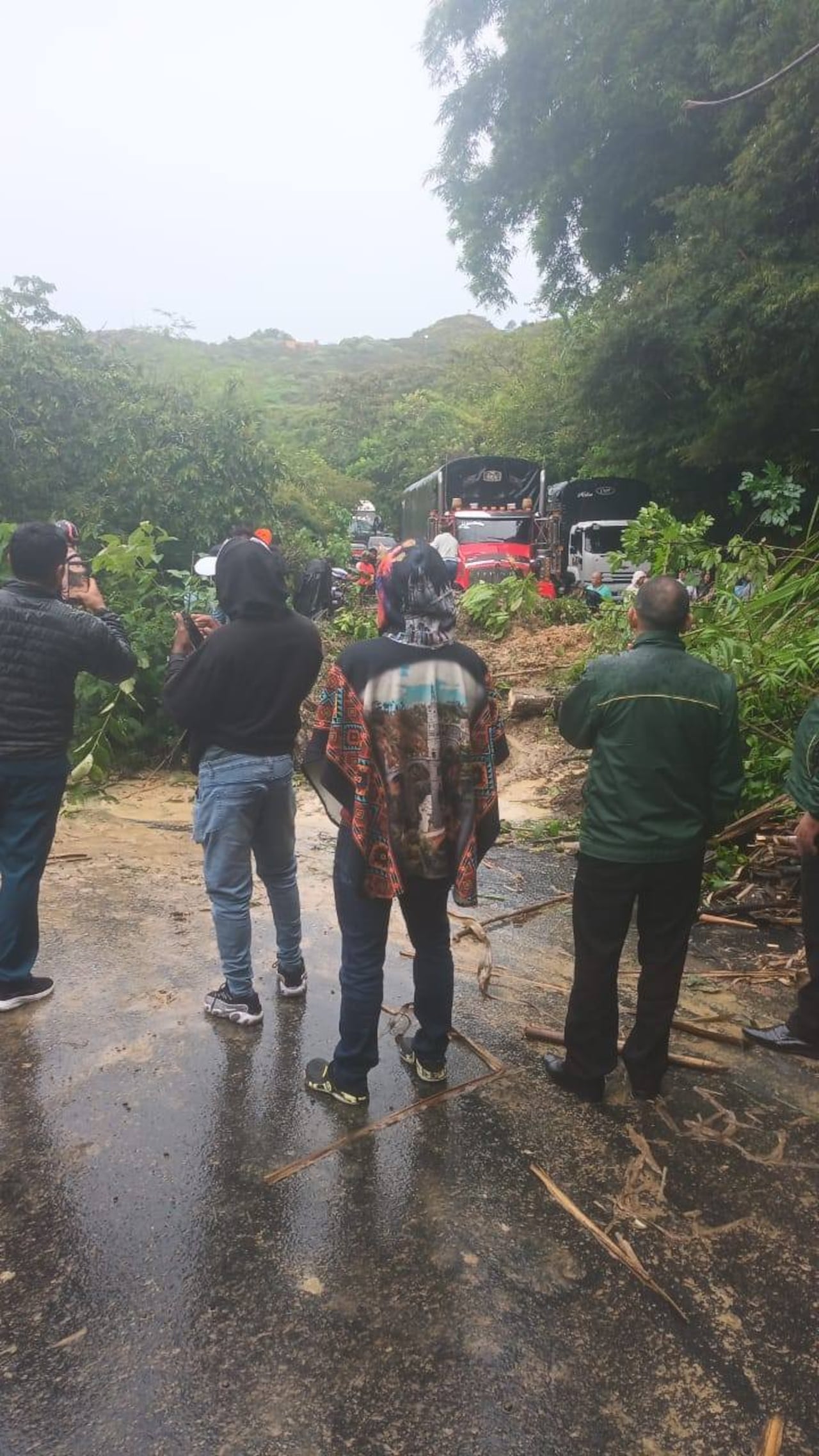 Los mismos conductores ahora buscan retirar las grandes cantidades de lodo, ramas de árboles y rocas que cayeron en este punto de la Panamericana.
