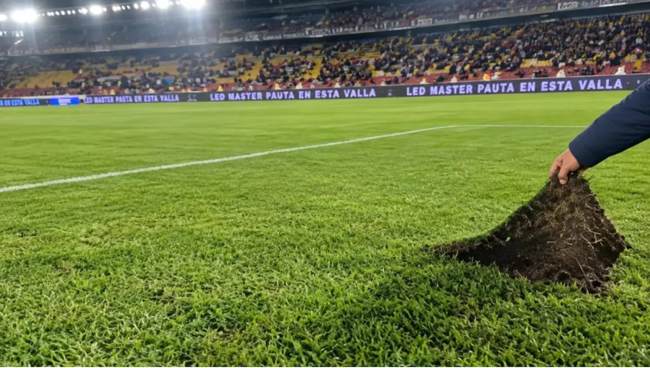 Gramilla del Estadio Nemesio Camacho El Campín.
