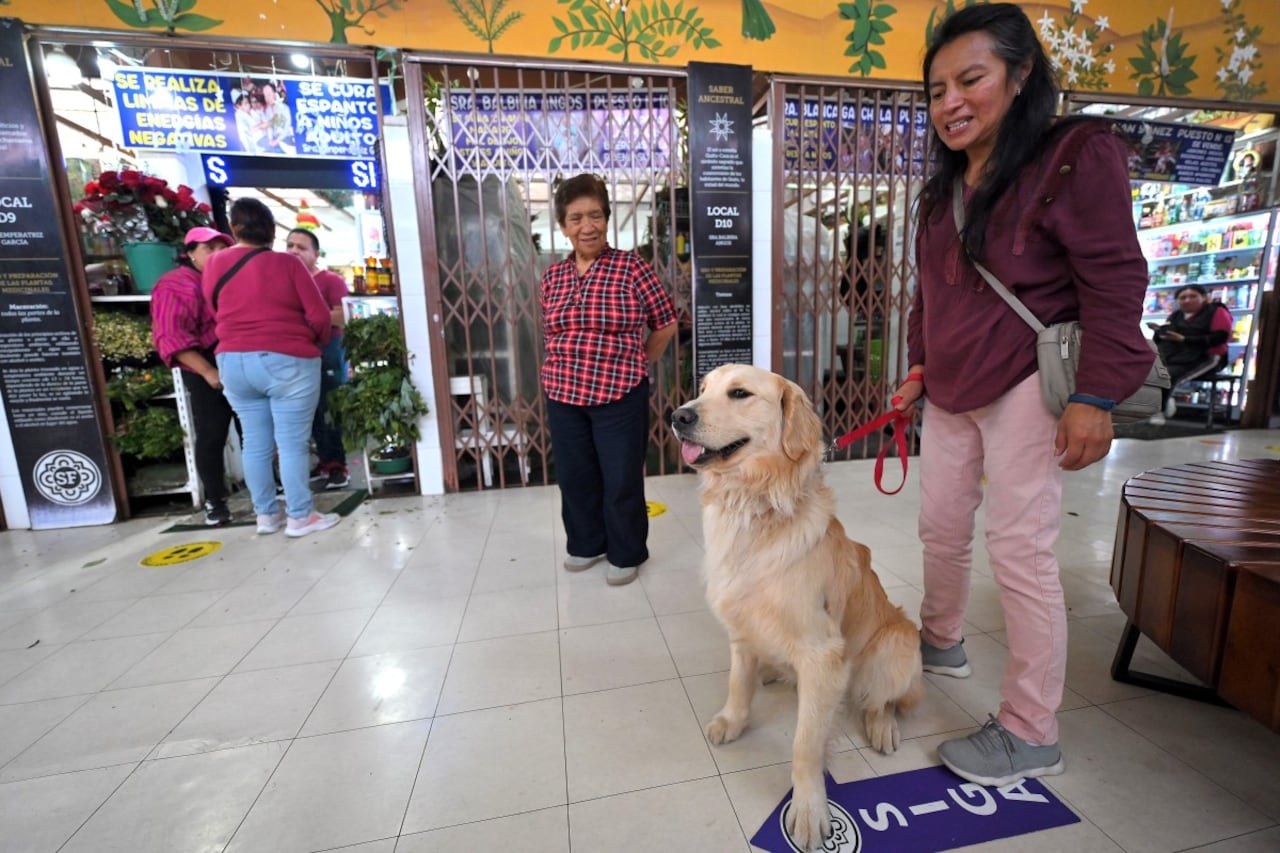 Ximena Tixi y su perro Lucas esperan un ritual de limpieza de energía para mascotas en el mercado de San Francisco en Quito el 17 de mayo de 2026. Curanderas limpian a las mascotas de energía negativa en un mercado de Ecuador. Aunque esta forma de medicina arraigada en la tradición andina se practica más comúnmente en humanos, los dueños llevan a sus animales para recibir tratamiento y aliviar su nerviosismo u otras dolencias a través de un ritual de "limpia". (Foto de Rodrigo BUENDIA / AFP)