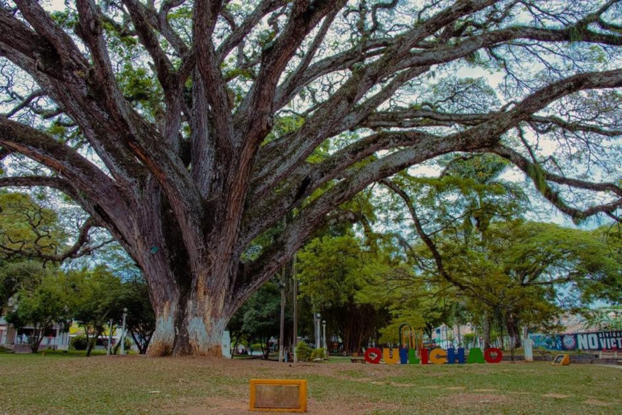 Este municipio está ubicado al norte del departamento del Cauca, con respecto a las principales ciudades del sur-occidente del país, este se encuentra a 97Km al norte de Popayán y a 45Km al sur de Cali.