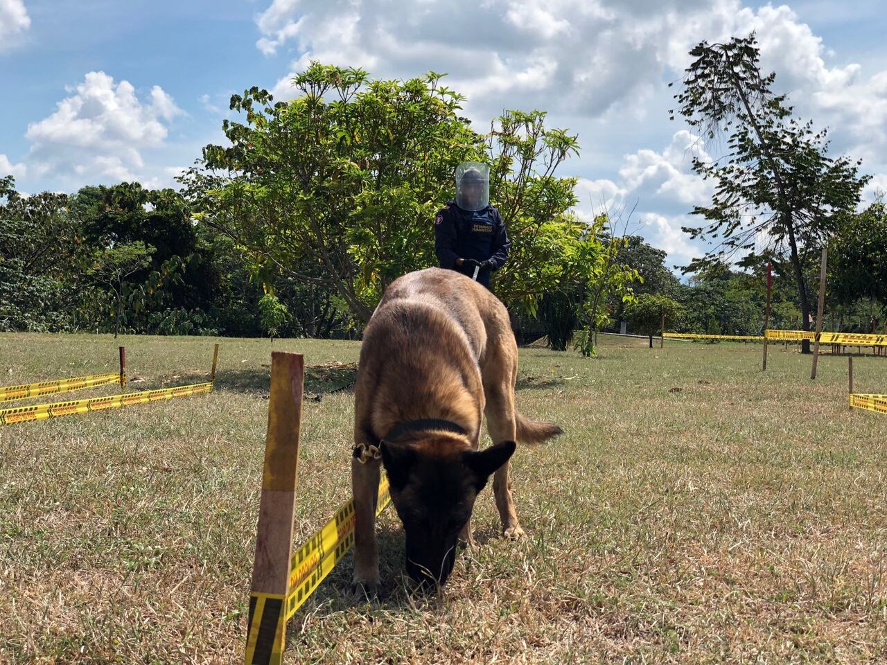 Su guía canino es el soldado que resultó herido