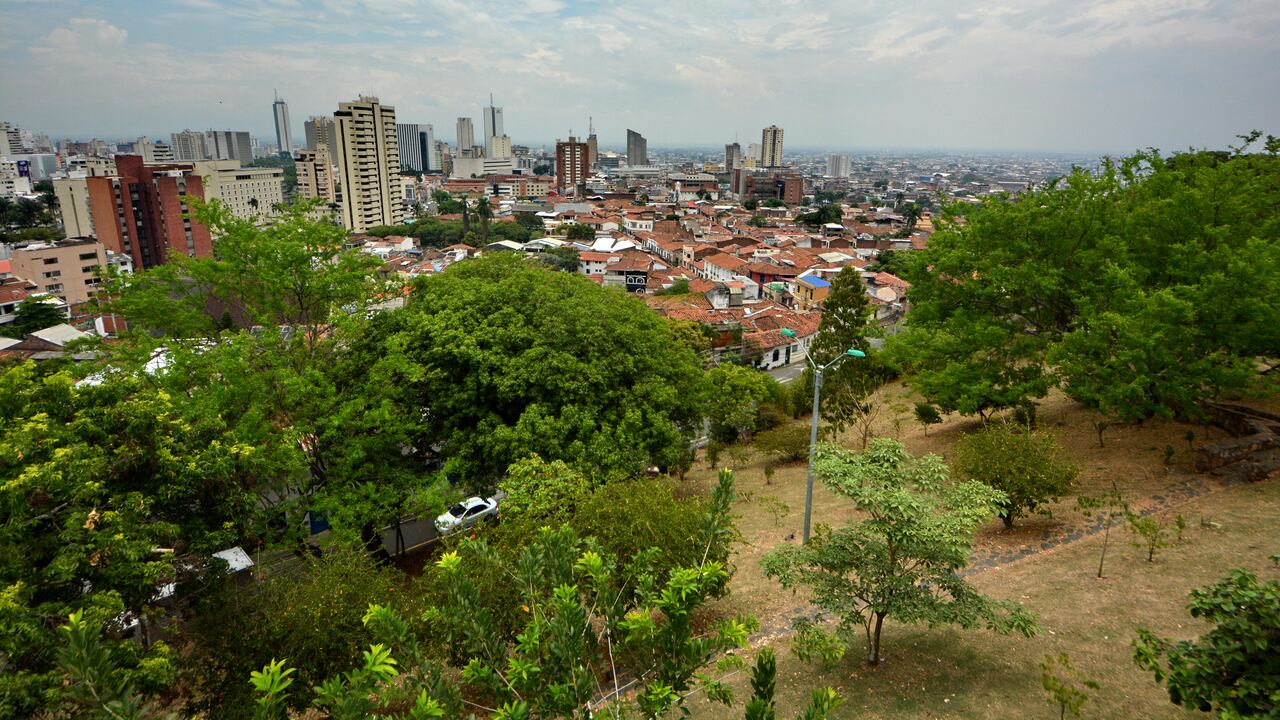 Cali cuenta con 30 bosques urbanos. Unos de los más emblemáticos son el de San Antonio y el Ingenio.