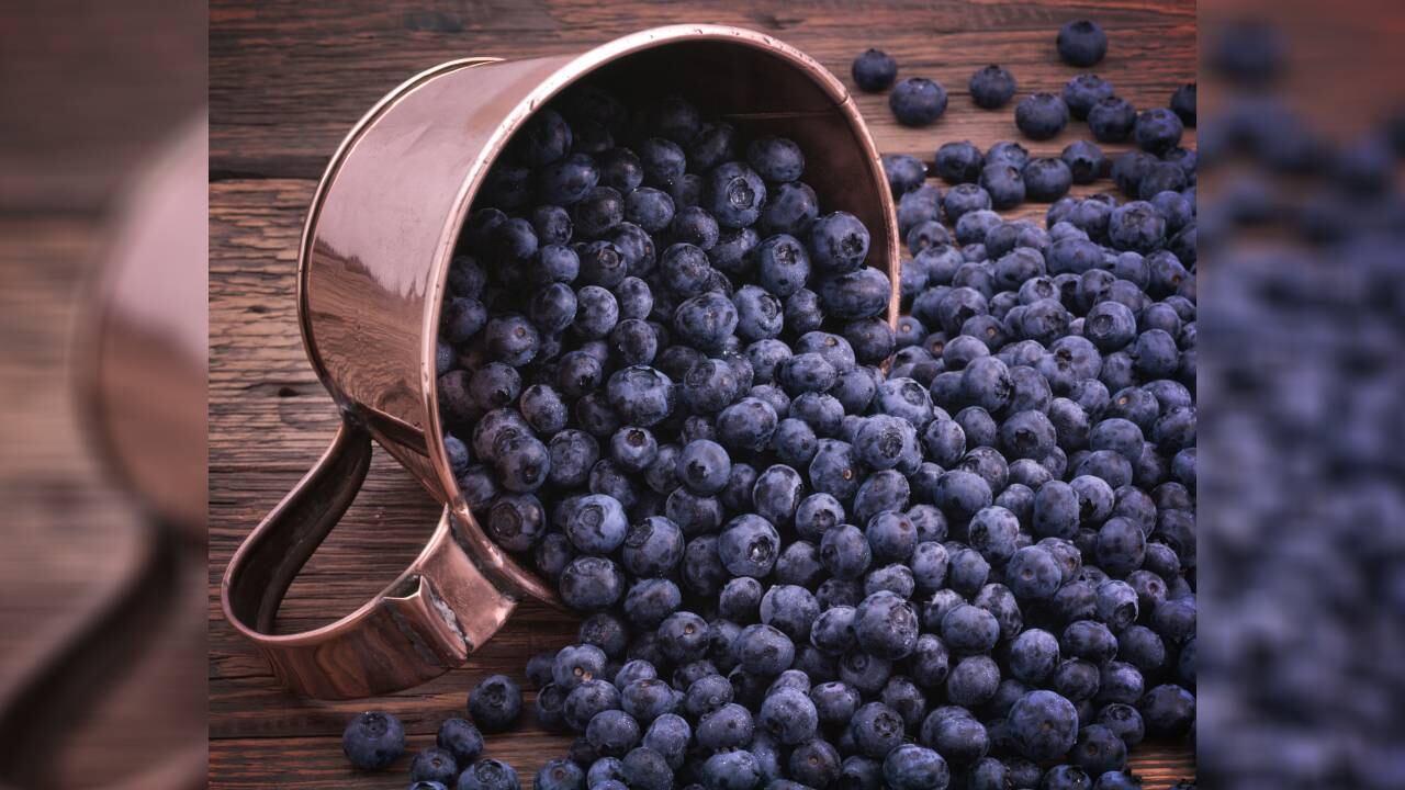 Una investigación encontró propiedades benéficas para la salud bucal en los arándanos.