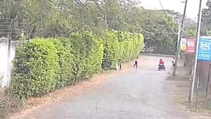 La docente circulaba por la zona.