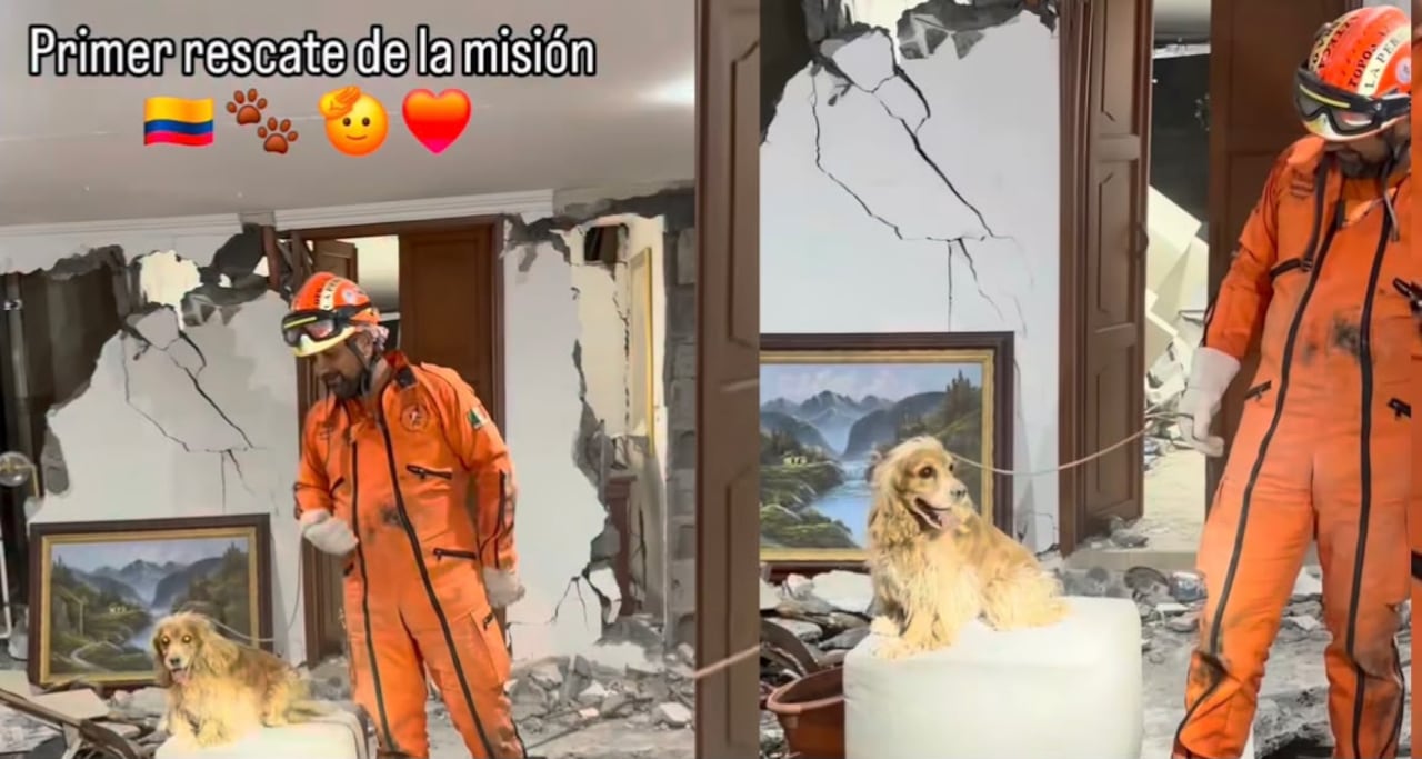 Topos Azteca rescatan perro entre los escombros en Cali