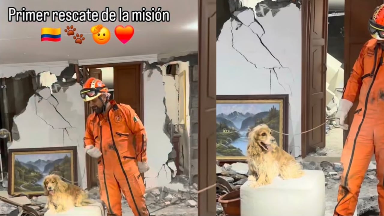 Topos Azteca rescatan perro entre los escombros en Cali