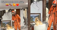 Topos Azteca rescatan perro entre los escombros en Cali