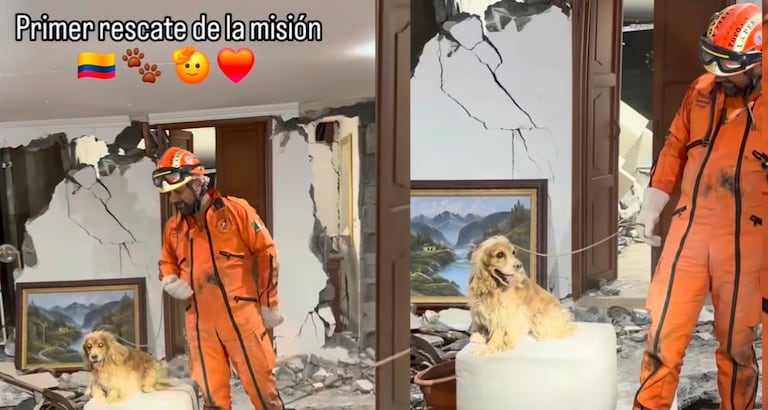 Topos Azteca rescatan perro entre los escombros en Cali