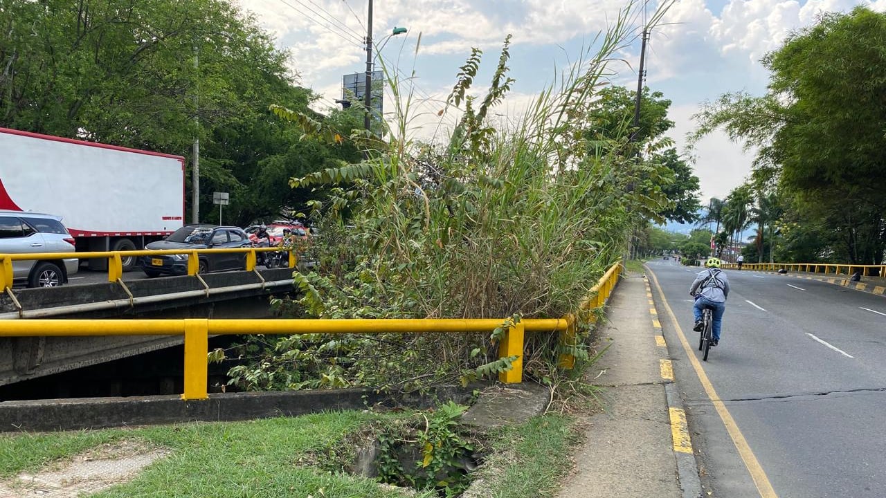 La denuncia ciudadana busca que se adelanten labores de mantenimiento y adecuación en este corredor vial.