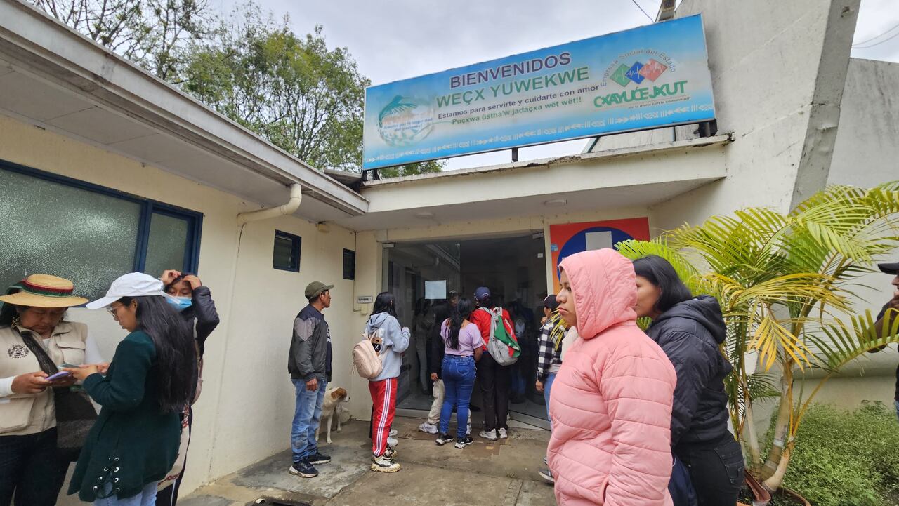 De acuerdo con testigos, el ataque ocurrió en pleno acto de despedida, causando pánico entre la multitud. Varias personas sufrieron picaduras múltiples y reacciones alérgicas, lo que llevó a una rápida evacuación hacia el hospital municipal, que colapsó ante la cantidad de afectados.