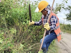 Con estas intervenciones se busca facilitar el transporte de productos agrícolas hacia la cabecera municipal de Mercaderes y hacia el departamento de Nariño.