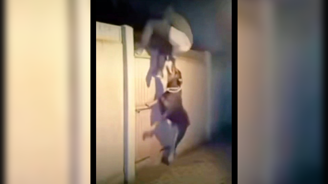 Un perro se convirtió en héroe al evitar un robo dentro de una casa; el momento quedó grabado