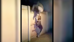 Un perro se convirtió en héroe al evitar un robo dentro de una casa; el momento quedó grabado