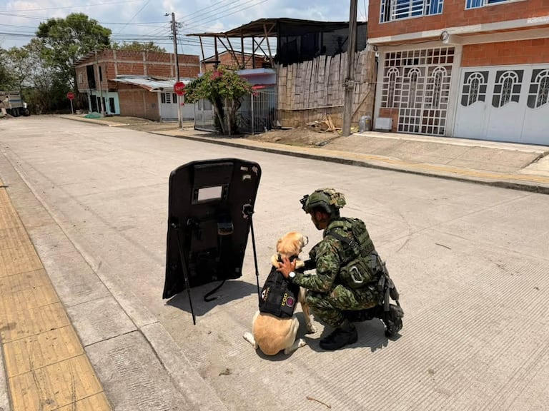 Desactivación de explosivos en Miranda, Cauca, en la mañana de este jueves 8 de octubre de 2026.