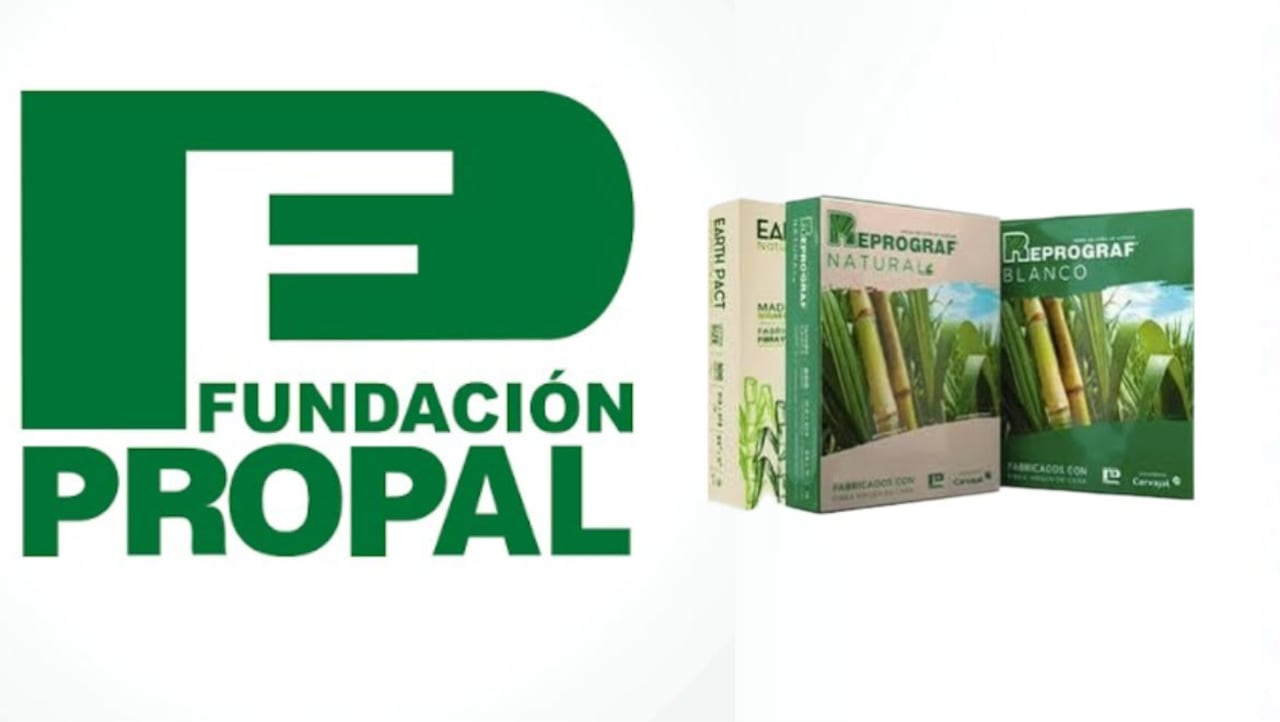 Propal solicitará su liquidación judicial