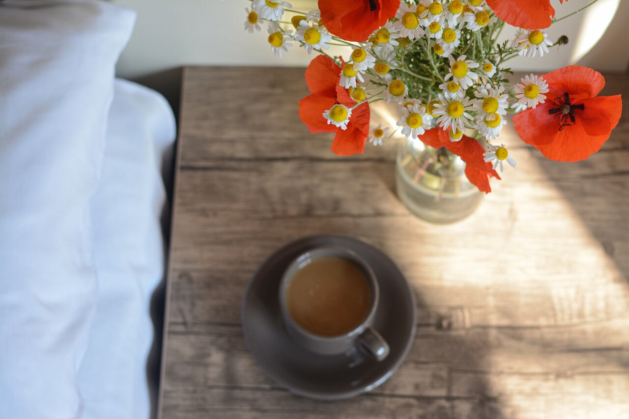 La efímera elegancia de las amapolas: un misterio floral que invita a reflexionar sobre la vida y la muerte.