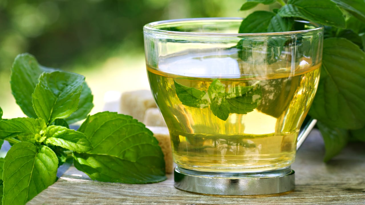 Té de menta