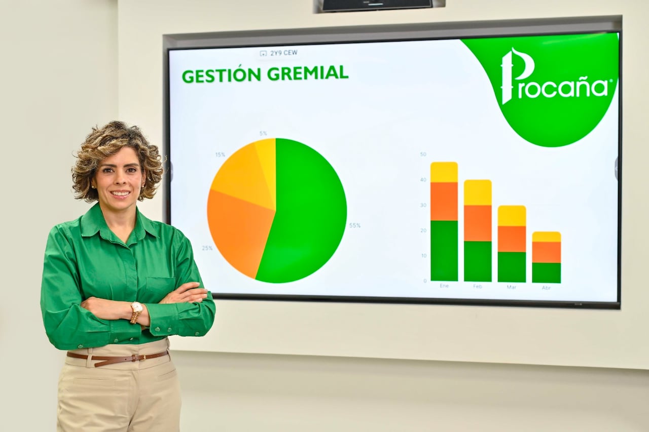 Marcela Urueña Gómez, presidenta de Procaña, cuestionó el catastro multipropósito.