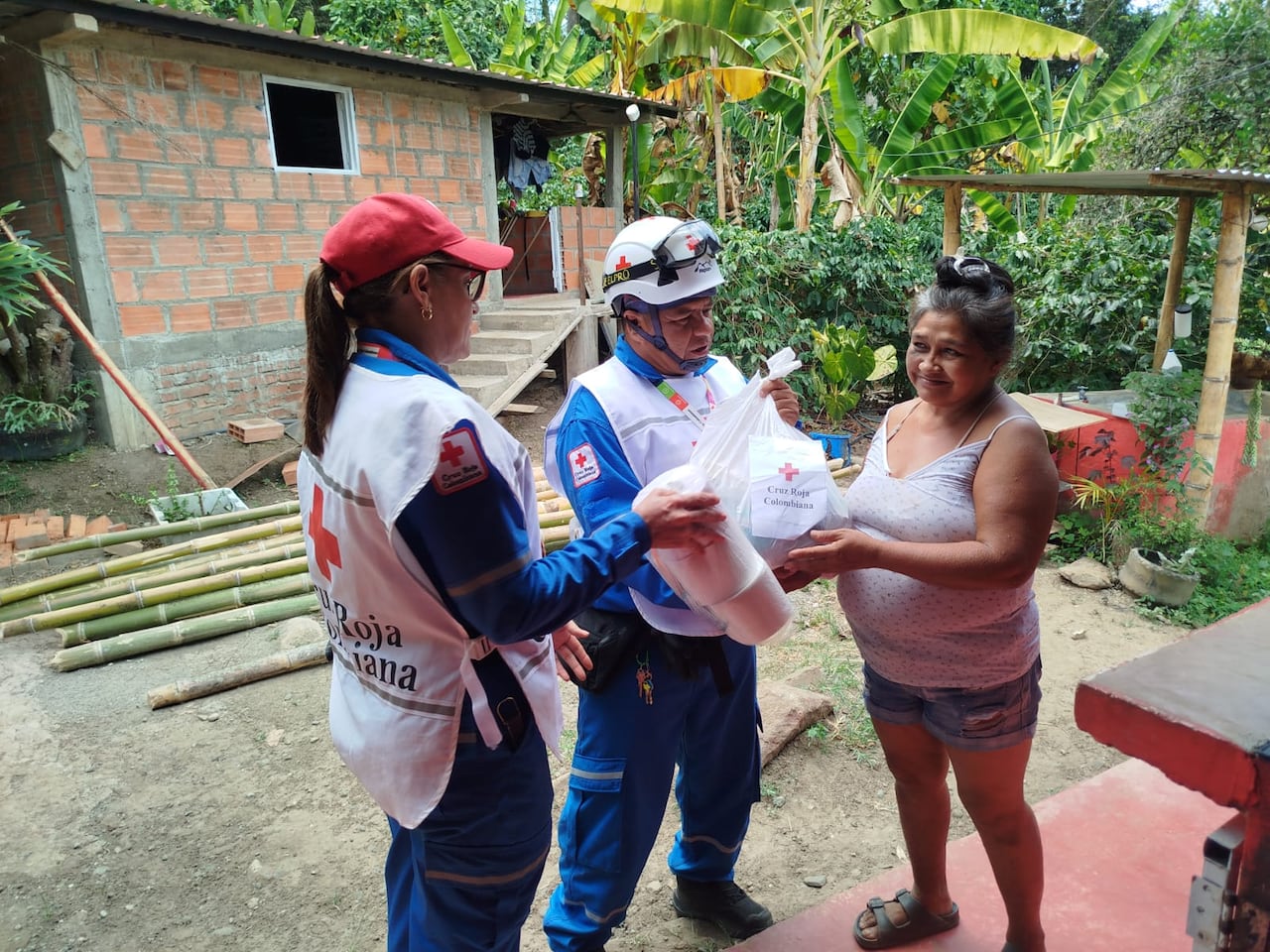 Voluntarios participan en la recepción, clasificación y distribución de ayudas humanitarias desde los centros de acopio.