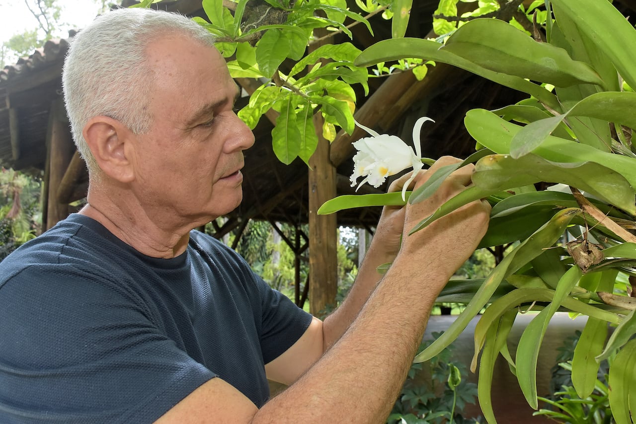 Entrevista a Coleccionistas de Orquídeas.