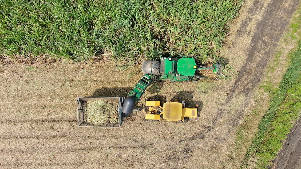 Incauca recalca su compromiso con la protección de la salud, el ambiente y la seguridad de las comunidades de su zona de influencia.