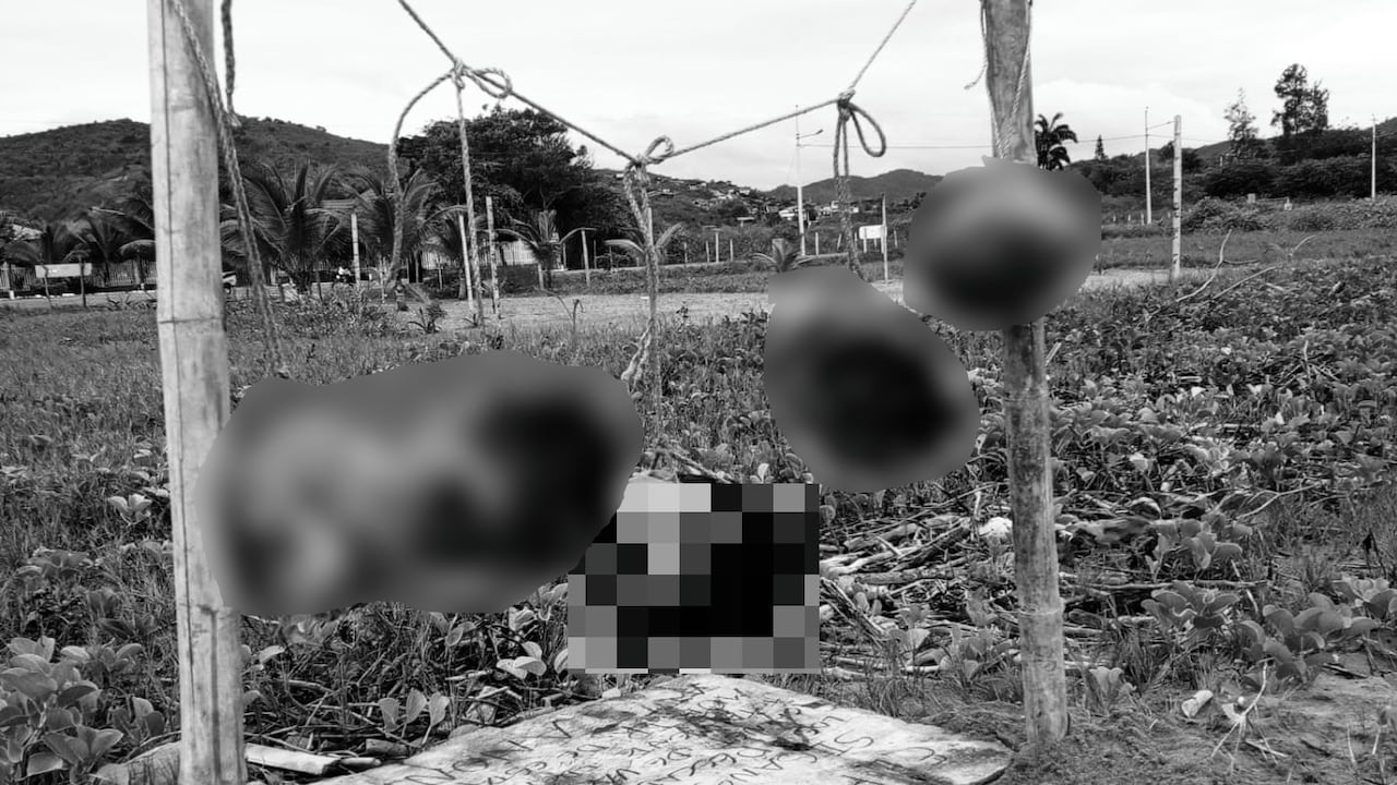 Estas son las cinco cabezas atadas con cuerdas a dos postes de madera, frente al mar y en medio de la arena.