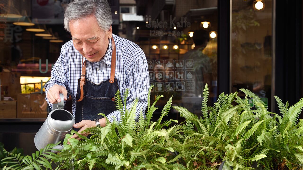 Regar las plantas con café.