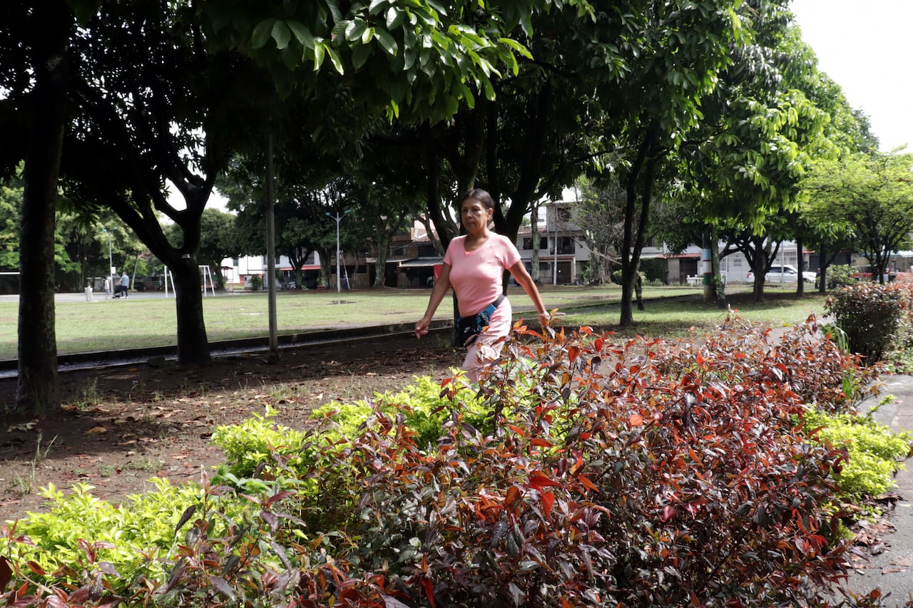 Cali tiene una de las redes de bosques urbanos mas extensa de américa latina.