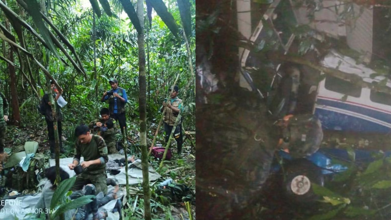 La noticia ha desatado la alegría en todo Colombia y ha sido festejado por diferentes sectores.