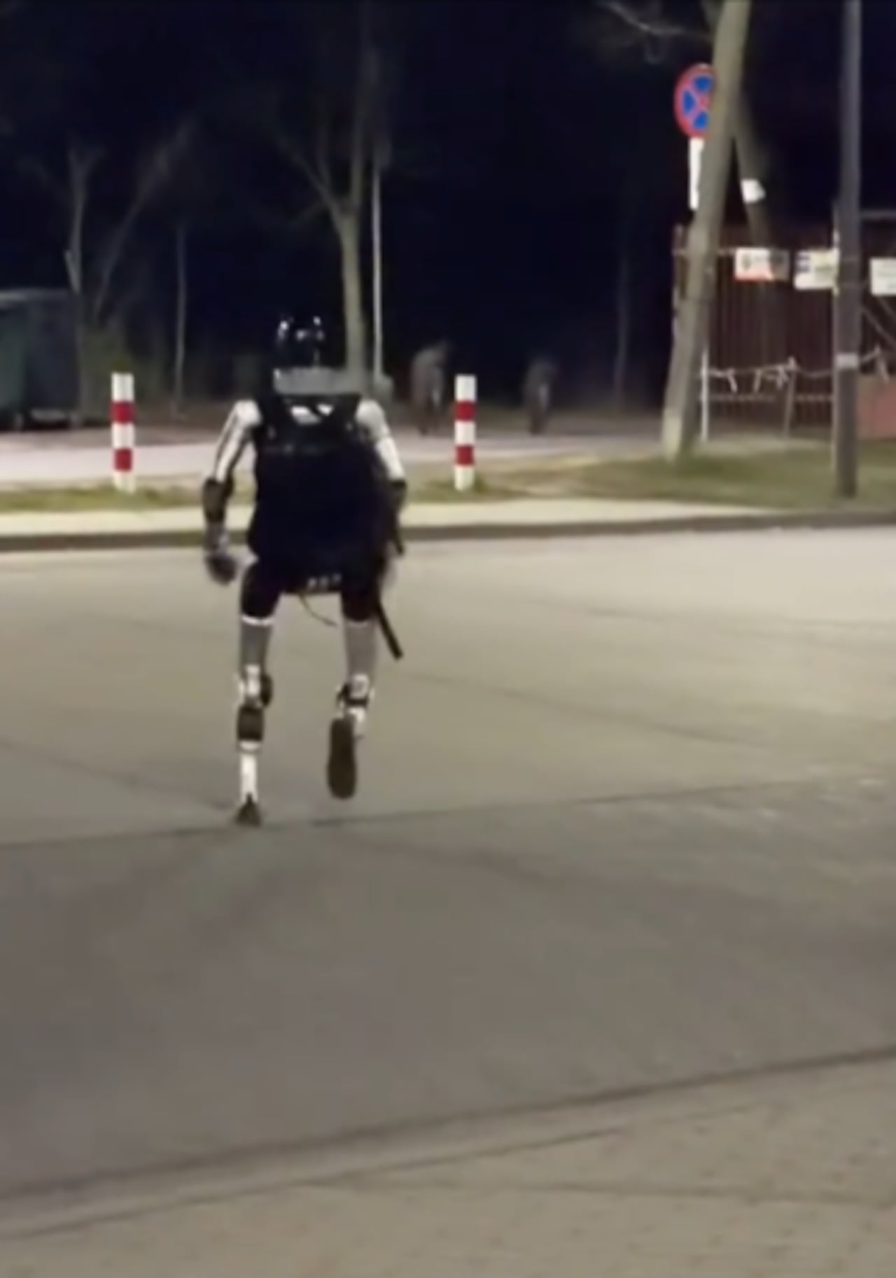 El robot corrió varios minutos hasta que los mamíferes se fueron del lugar.