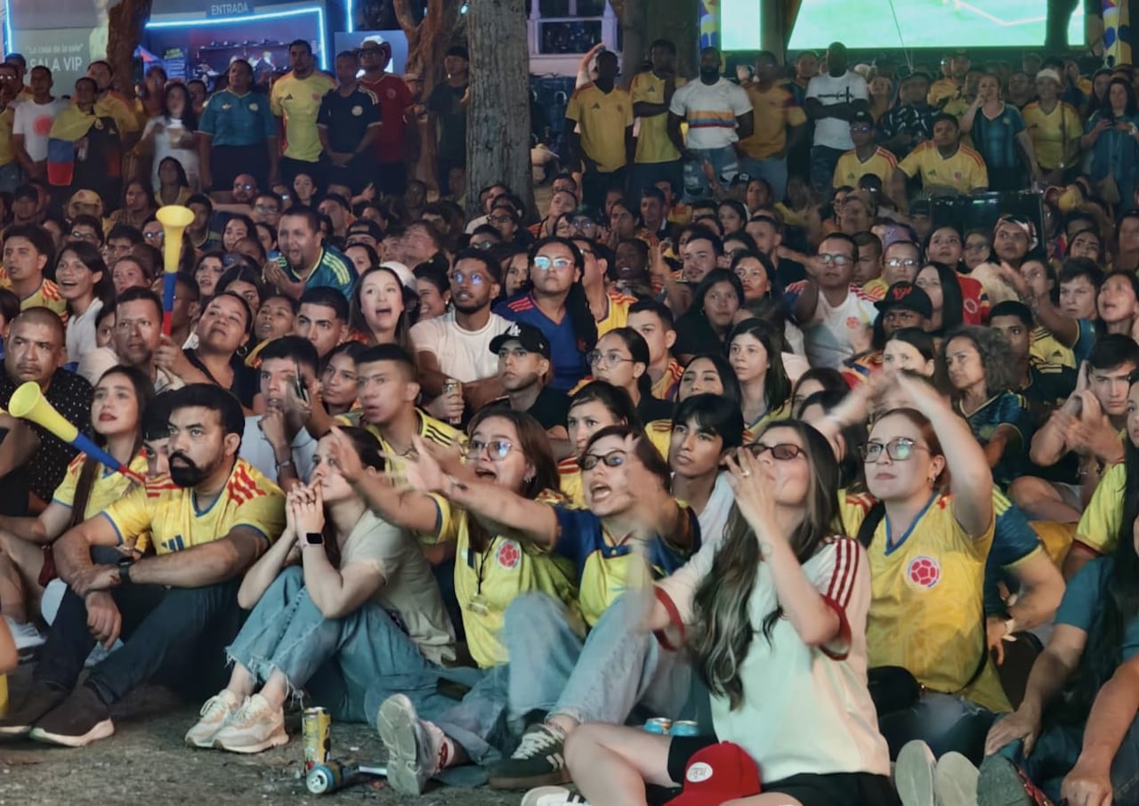 Aficionados caleños disfrutando del partido de la Selección Colombia frente a Ghana.