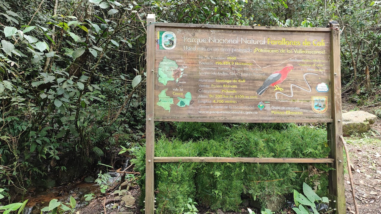 Parque Natural Los Farallones - Peñas Blancas. Carolina Abadía Quintero