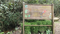 Parque Natural Los Farallones - Peñas Blancas. Carolina Abadía Quintero