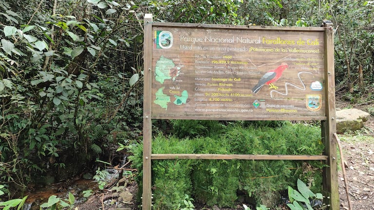 Parque Natural Los Farallones - Peñas Blancas. Carolina Abadía Quintero