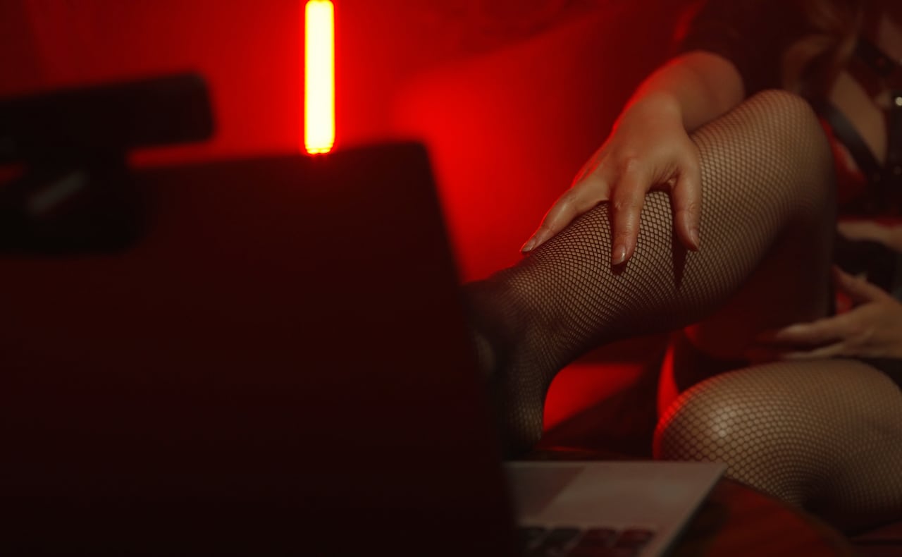 Modelo webcam / web cam