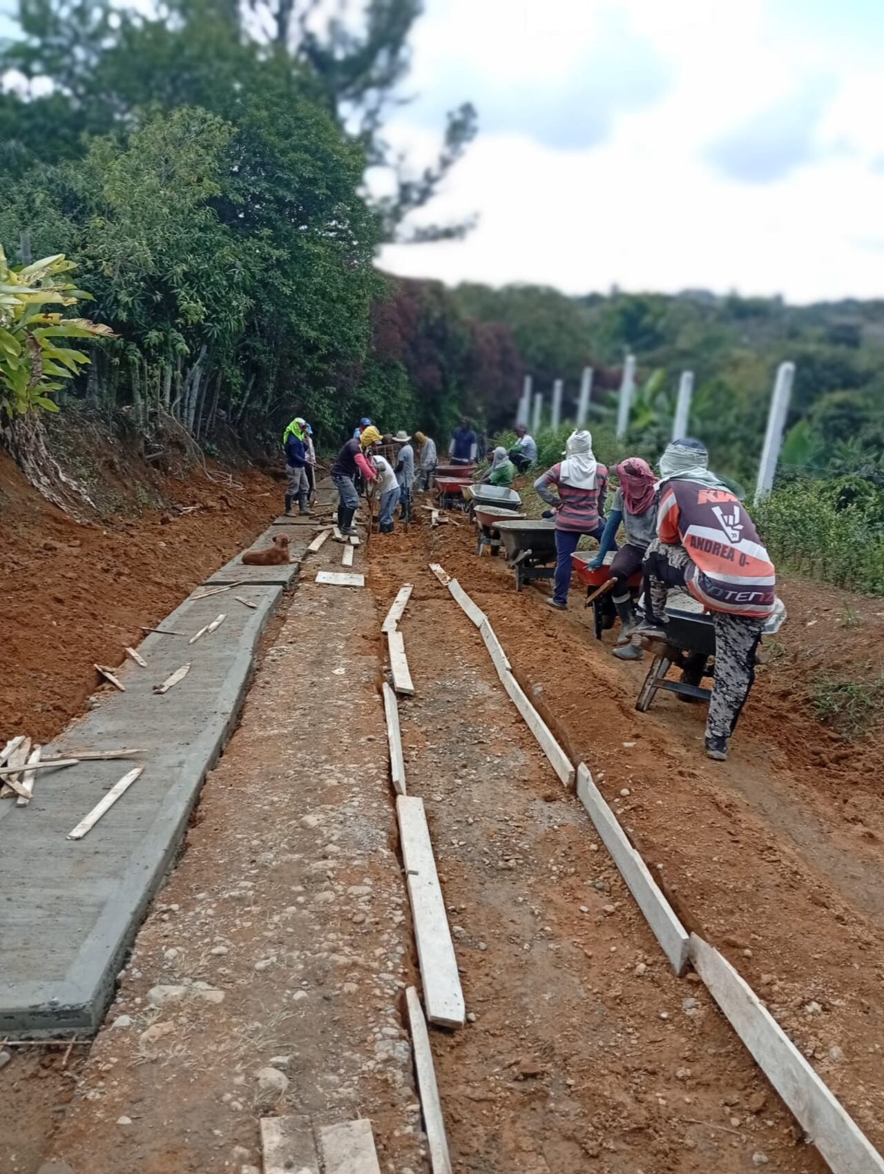 En vereda California, Piendamó, se destaca el esfuerzo y la unidad de su comunidad. Acá se lleva a cabo un importante trabajo comunitario para la construcción de la huella vehicular, una obra que beneficiará a todos los habitantes y mejorará significativamente la movilidad en la zona.