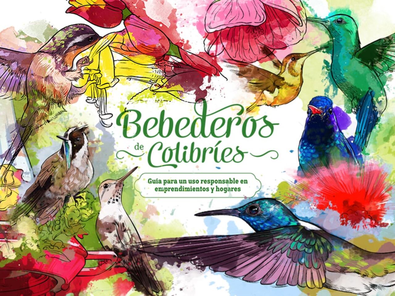 El Bando Creativo 2025