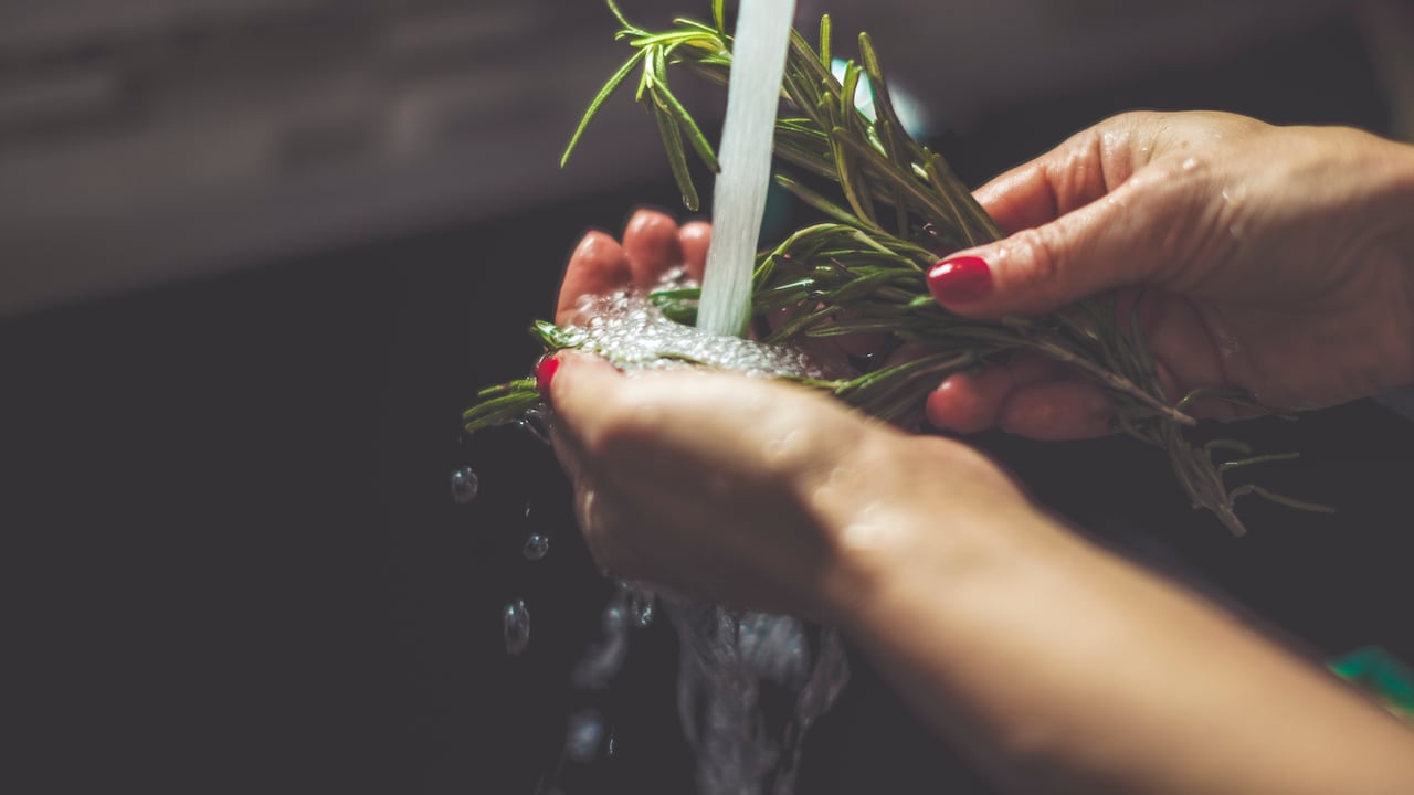 Agua de romero una alternativa natural para el cuidado del cabello