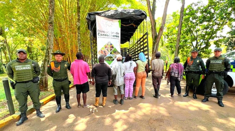 Nueve personas fueron detenidas por el delito de aprovechamiento ilícito de los recursos naturales.