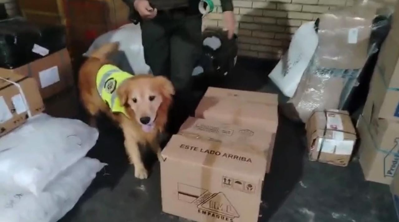 Son más de 20 kilos los que fueron incautados por las autoridades.