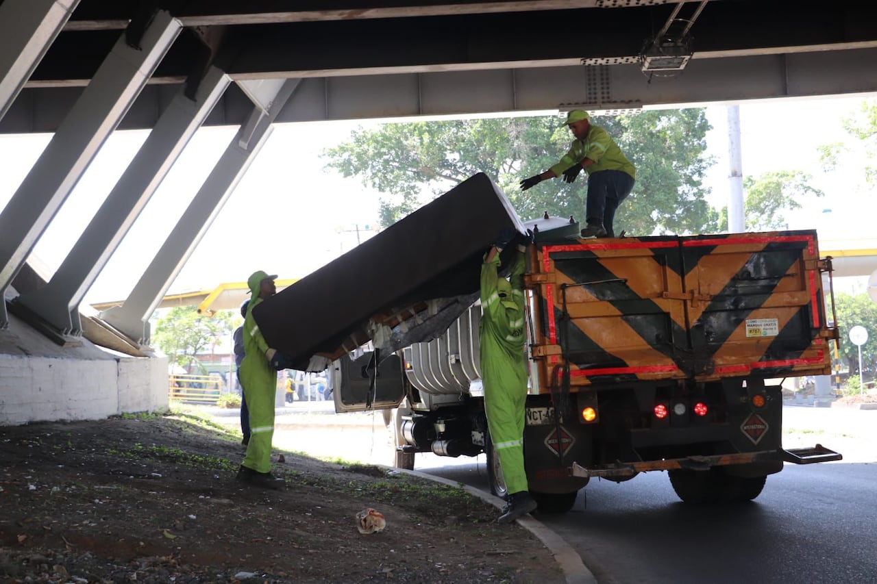 Programa 'Mi Cali bella'