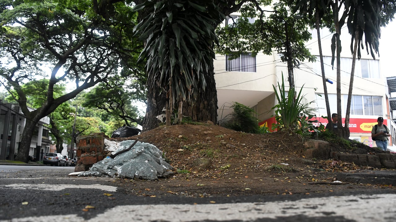 Fotodenuncia: Árbol av 6, obra inconclusa y botadero de basura.