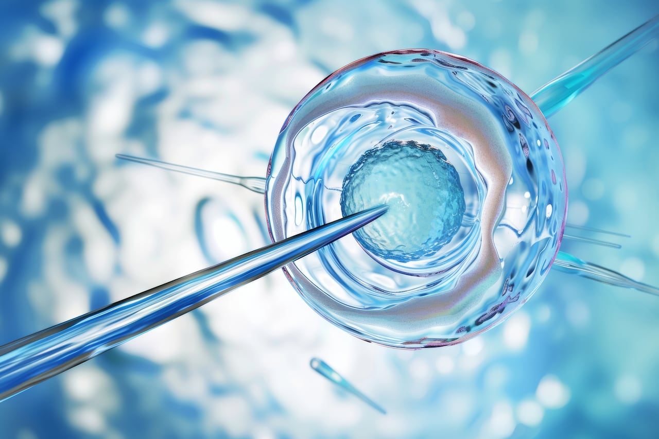 El embrión se crea mediante fecundación in vitro (FIV), con los óvulos y espermatozoides de los padres intencionales o de donantes.