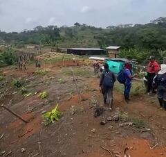 Las comunidades indígenas denuncian que los integrantes de la fuerza pública destruyeron parte de sus cultivos al momento de ingresar a este predio.