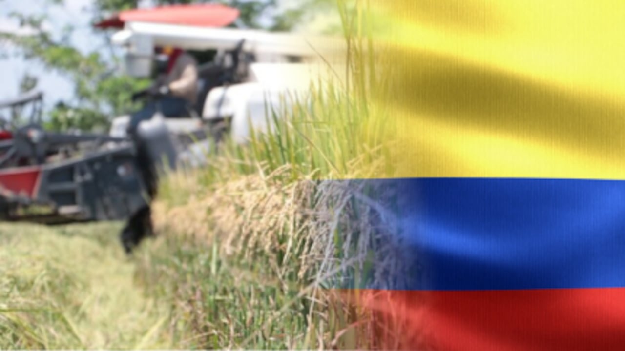 El Ministerio de Agricultura implementa medidas directas y ajustes normativos para proteger a los productores ante la volatilidad del mercado internacional.